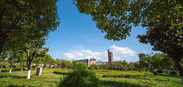 我的大學(xué)-大學(xué)志