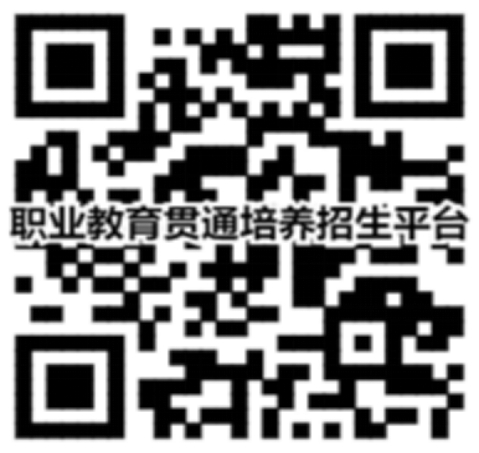二維碼在線進(jìn)行報(bào)考、計(jì)劃查詢、錄取查詢