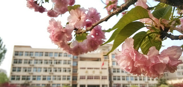 鄭州旅游職業(yè)學院 - 最美大學