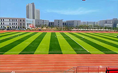 鄭州旅游職業(yè)學院 - 我的大學