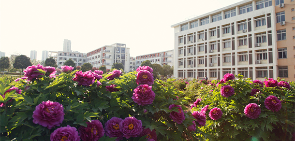 河南推拿職業(yè)學院 - 最美大學