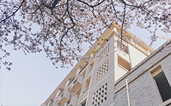 歷史沿革（概）校史