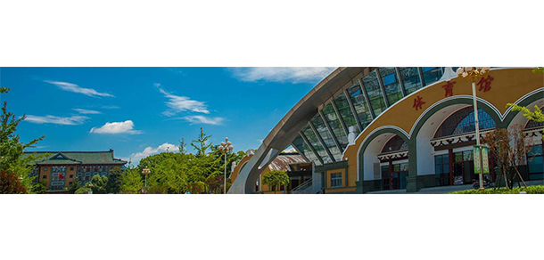 我的大學-大學志
