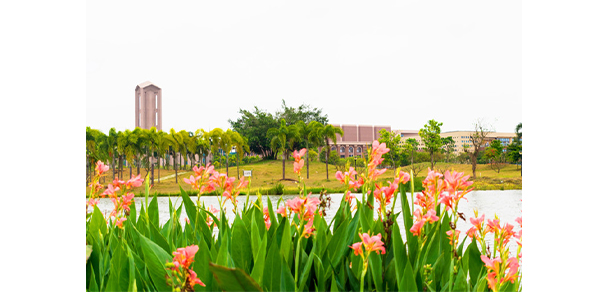 湛江科技學院 - 最美大學