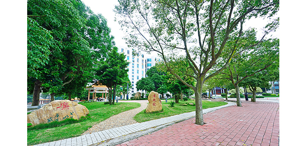 廣東茂名幼兒師范?？茖W(xué)校 - 最美大學(xué)