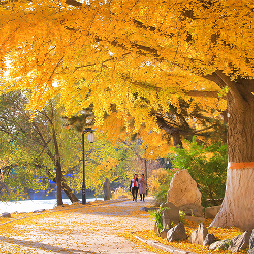 北京大學-流金歲月
