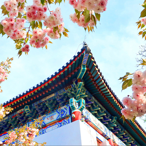 北京大學-最美校園