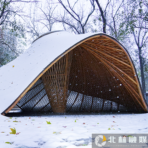 北京林業(yè)大學-大學文化