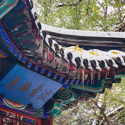 北京林業(yè)大學-最美校園