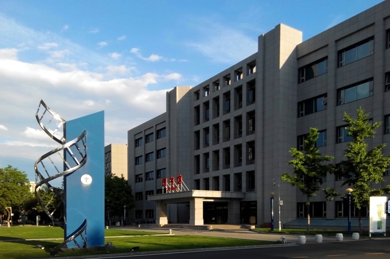 首都醫(yī)科大學 我的大學