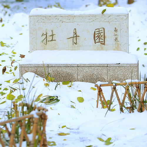 北京師范大學-大學文化