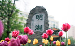 文化標(biāo)識(shí)：校名題寫(xiě) / ?；赵O(shè)計(jì)