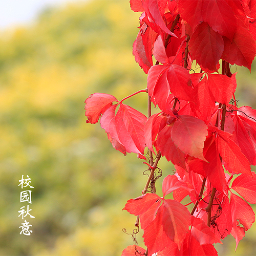 歲月無聲,歷史有痕。以史爲(wèi)鑒，繼往開來。