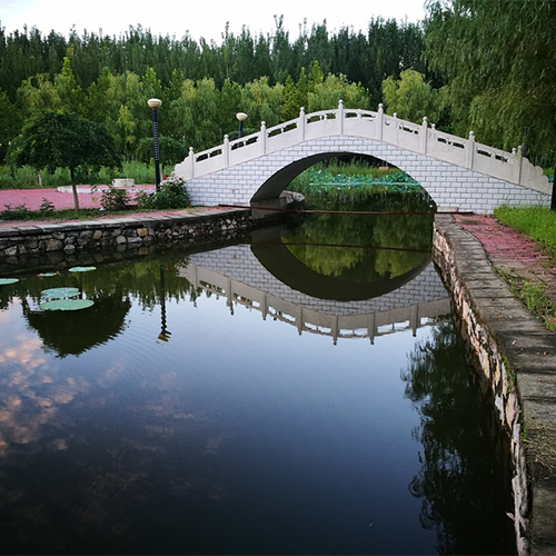最美大學(xué)