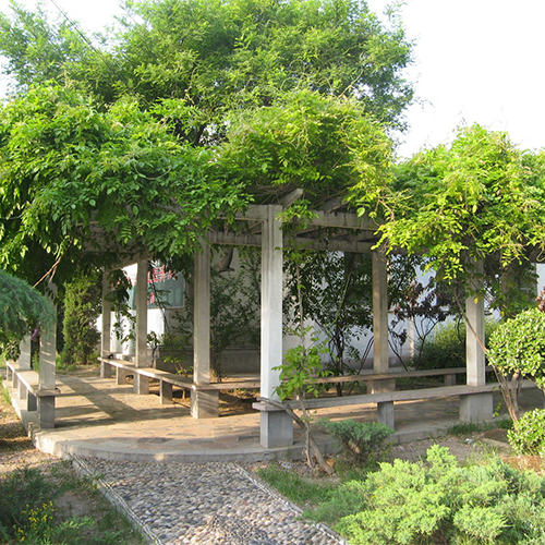 最美大學