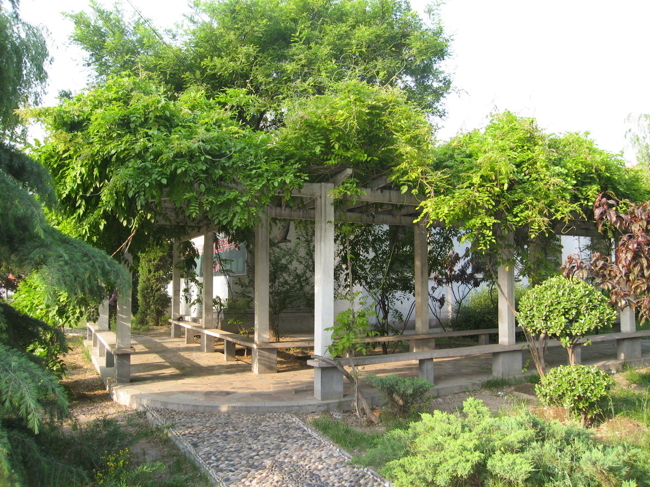 北京培黎職業(yè)學院 早安青春
