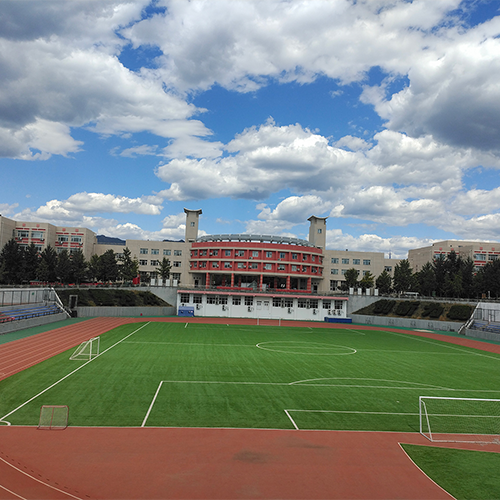 我的大學(xué)