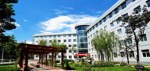 我的大學-大學志