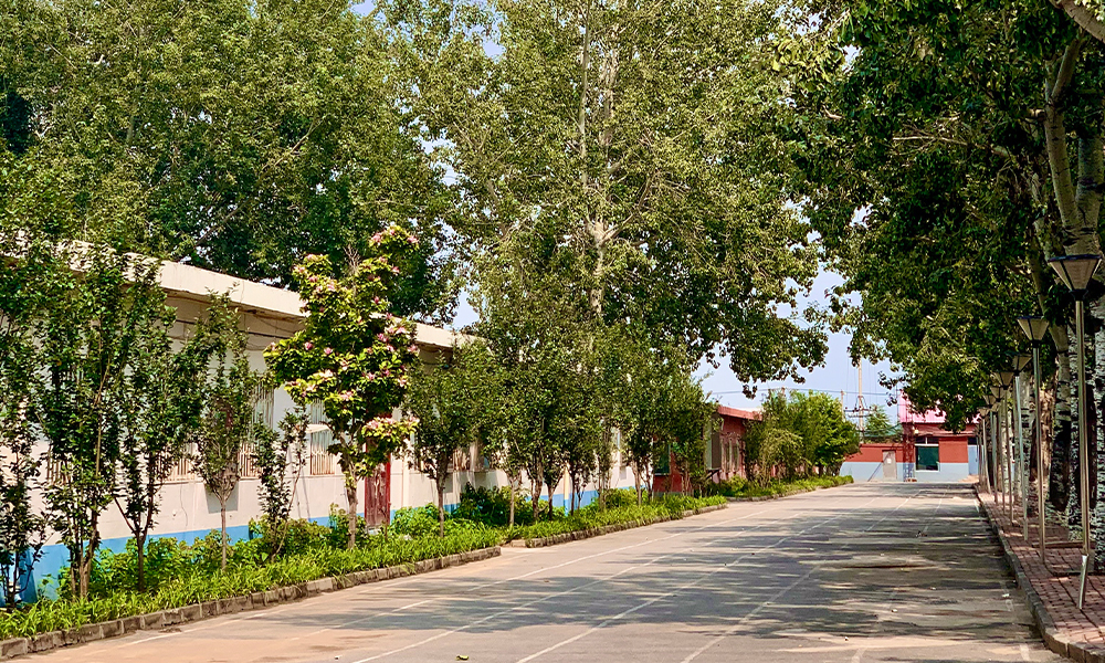 北京藝術(shù)傳媒職業(yè)學院 風起四海 · 各自珍重