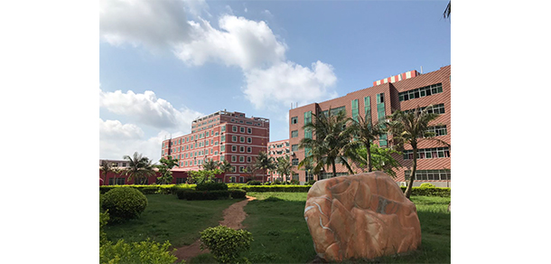 我的大學-大學志