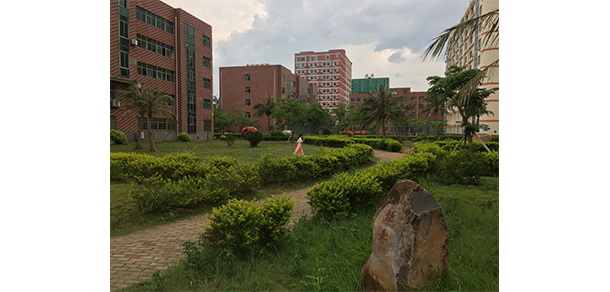 我的大學-大學志