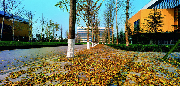 重慶科技大學(xué) - 最美大學(xué)