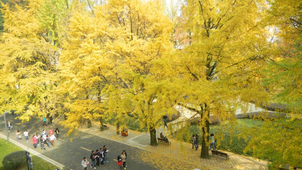 四川農(nóng)業(yè)大學 早安青春