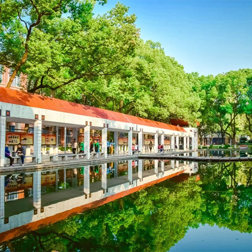 我的大學