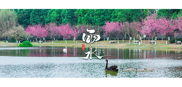 我的大學-大學志