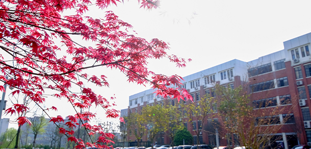 我的大學-大學志
