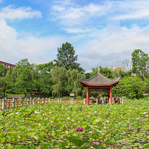最美大學(xué)