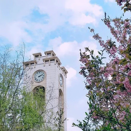 西南財經(jīng)大學(xué)-大學(xué)文化