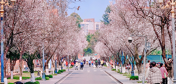 我的大學(xué)-大學(xué)志