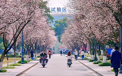歷史沿革(概)校史