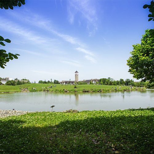 成都東軟學(xué)院-大學(xué)文化