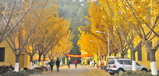 成都理工大學工程技術學院 - 最美大學