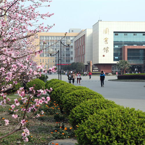我的大學(xué)