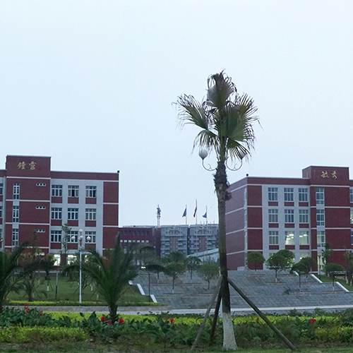 最美大學