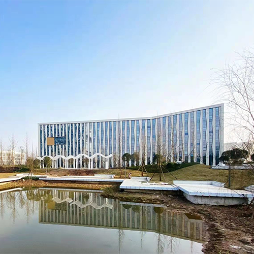 我的大學(xué)
