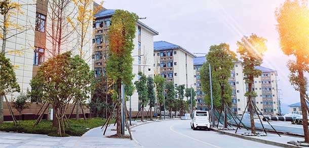 達州職業(yè)技術學院 - 最美院校