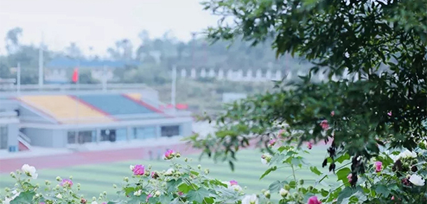 眉山職業(yè)技術學院 - 最美大學