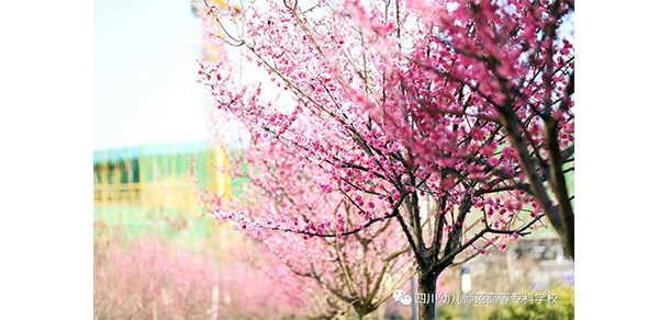 四川幼兒師范高等?？茖W(xué)校 - 最美大學(xué)