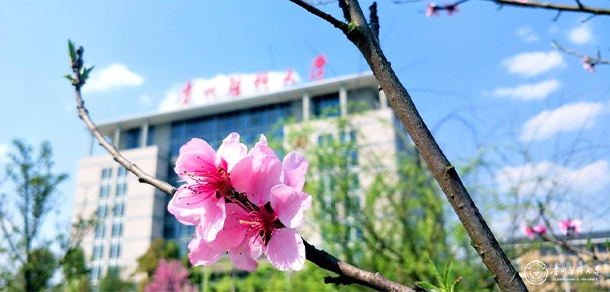貴州醫(yī)科大學(xué)