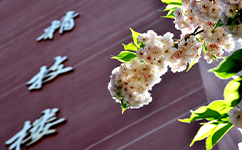 貴州建設職業(yè)技術(shù)學院 - 我的大學