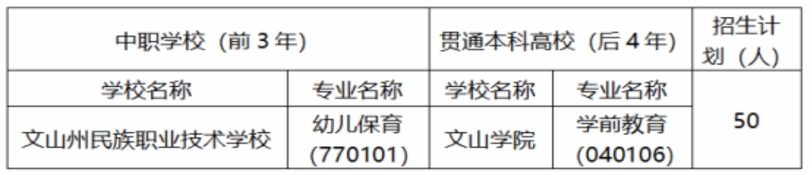 文山學(xué)院 文山州民族職業(yè)技術(shù)學(xué)校2025年“3+4”招生簡(jiǎn)章