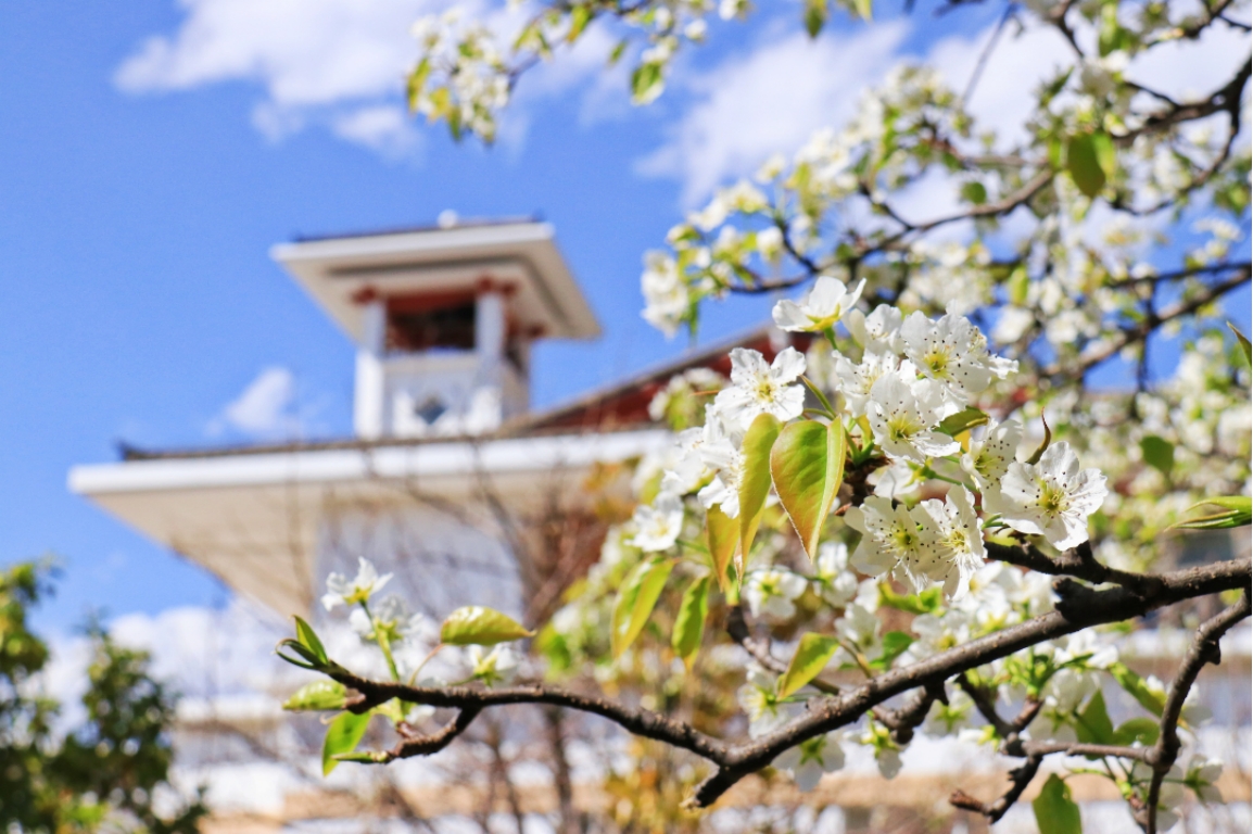 麗江文化旅游學院（原云南大學旅游文化學院）2022年?？普猩喺? width=