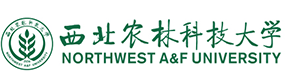 大學(xué)高校 - 招生簡章 · 招生計劃 · 招生分?jǐn)?shù) - 高考志愿，大學(xué)招生，線上咨詢答疑