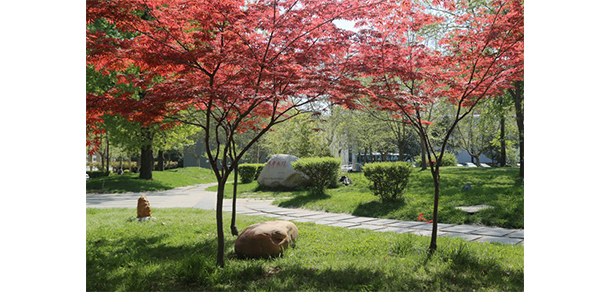 西安建筑科技大學華清學院 - 最美大學