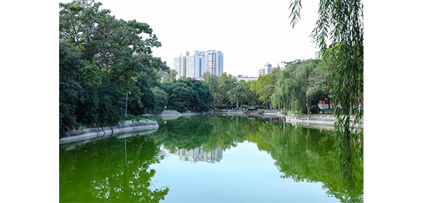 我的大學(xué)-大學(xué)志