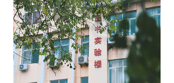 我的大學(xué)-大學(xué)志